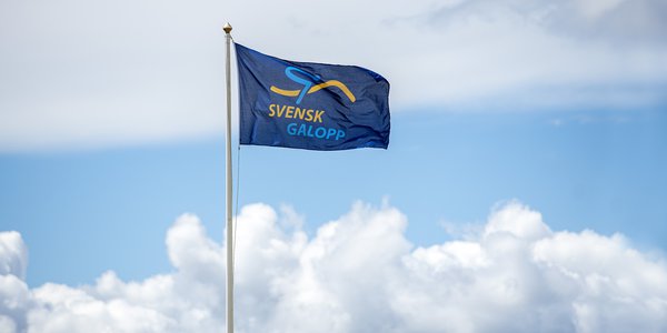 Tävling SvenskGaloppFlagga Elina Björklund.jpg